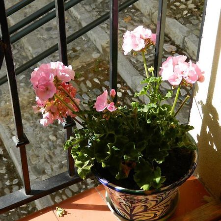 Escapadas Romanticas En Granada Jacuzzi Экстерьер фото