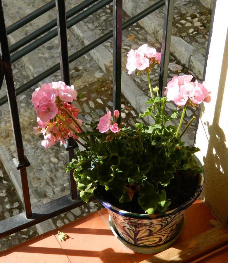 Escapadas Romanticas En Granada Jacuzzi Экстерьер фото